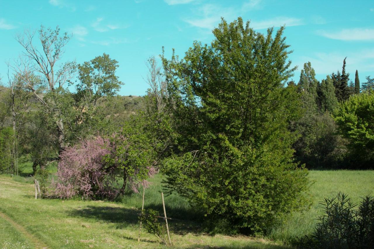 Ma Caravane Dans Les Collines Villeneuve-la-Comptal エクステリア 写真